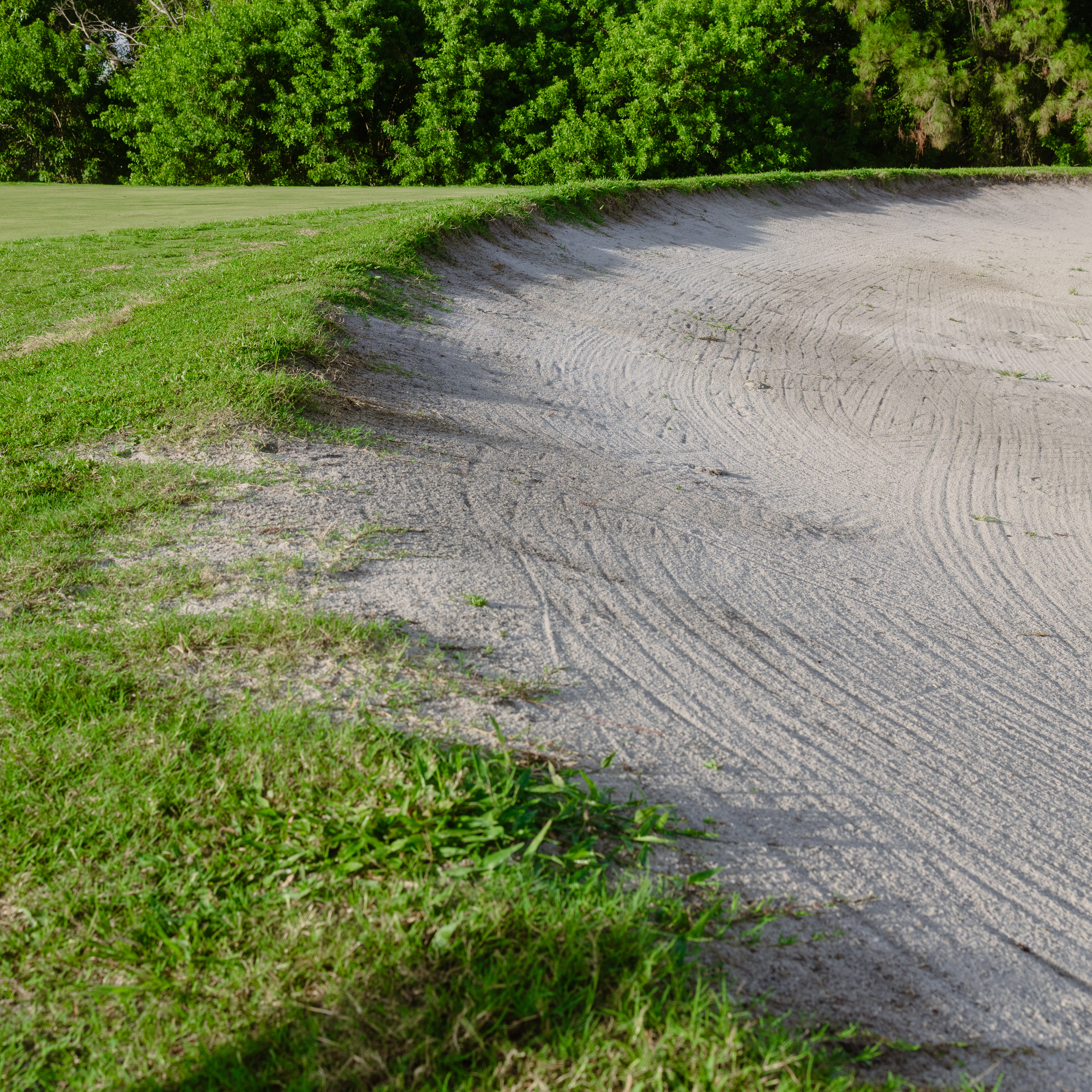 Bunker with grass growing right to the edge