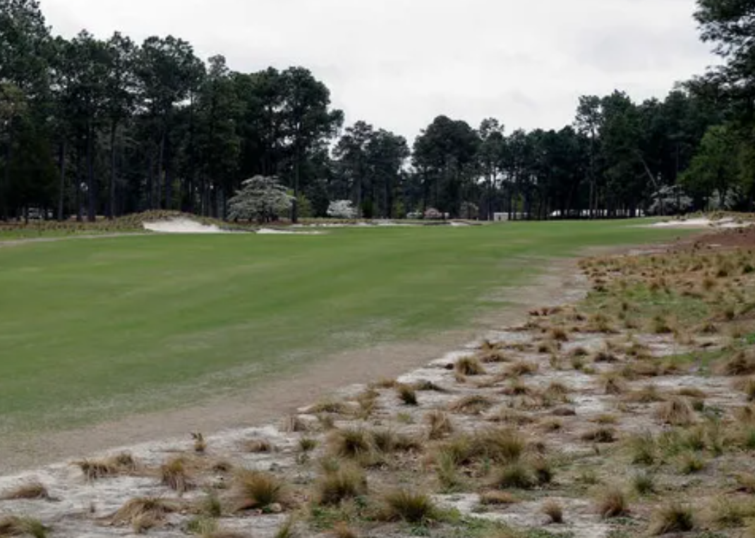 Pinehurst No. 2 fairway transition to wire grass