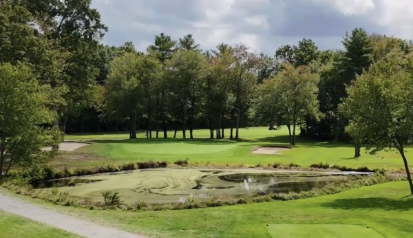 Joe & Leigh's discount golf pro shop image of a golf green on Instagram